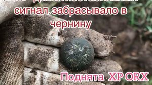 Коп с Xp ORX и Simplex+  в Калужской области. Небольшое сравнение приборов по глубине..mp4