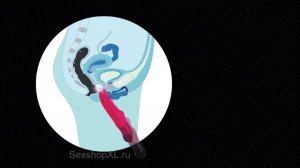 FUN FACTORY   STRONIC EINS, ZWEI, DREI