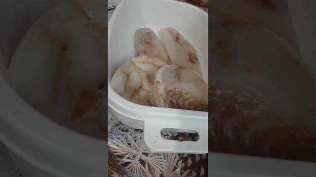 купила рыбу филе минтая в магните смотреть онлайн