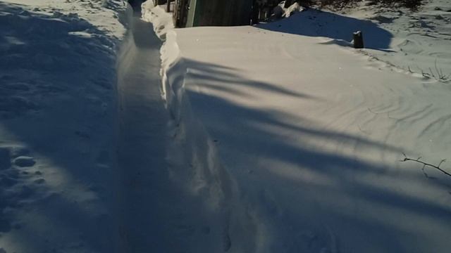 Мороз под сорок. Зима в разгаре. Север Омской области.