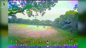 DraShark / Baby Shark HGLRC 1S racer - Review Test Démo - Etonnant !