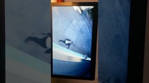 Смотрю Санек микс