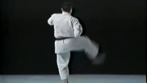 Шито-рю каратэ.Ката Бассай Дай и бункай.Bassai dai bunkai kata of Shito Ryu