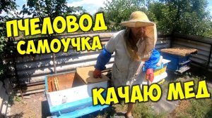 Качка мёда в домашних условиях. Домашняя пасека с ульями, сколько мёда можно собрать с 6 рамок