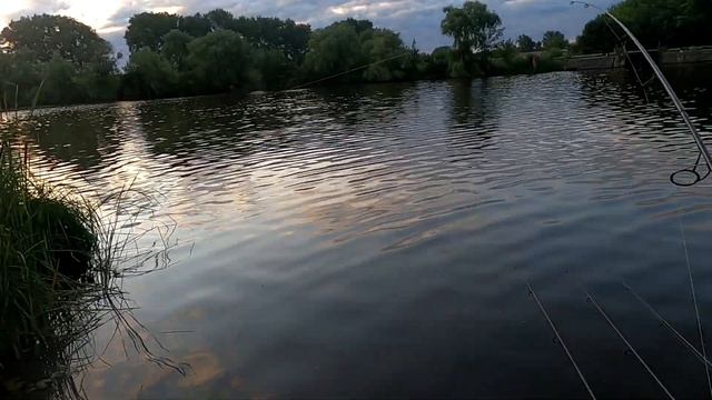 Рыбалка в жару или когда хочется ловит амура, а клюет карп смотреть онлайн