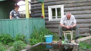 Шенкурск Караси в бассейне