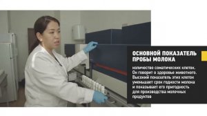 Отбор и исследование проб молока