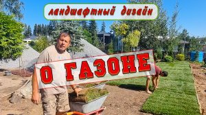Секреты создания идеального газона: рассказ ландшафтного дизайнера Алексея Брюханова.