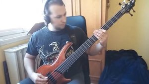 Slayer -  Raining blood - bass cover