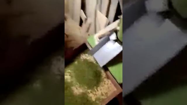Гранулируем траву на грануляторе "Компакт"