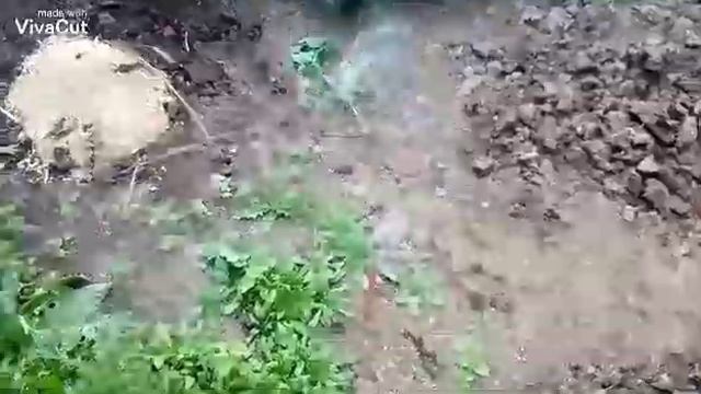 #1. Готовлю место под печь. Начинаю класть. Часть 1 смотреть онлайн