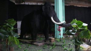 Открыта выставка динозавров в ТРК МЕГАМАГ