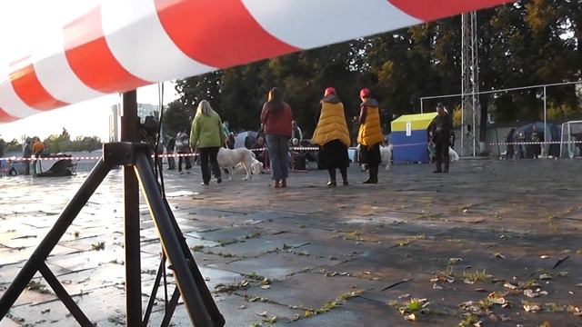 Выставка среднеазиатских овчарок "Осенняя Легенда - 2015" смотреть онлайн