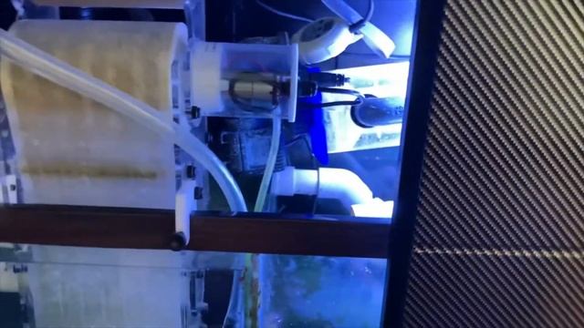 Update after 2 months of the Bubble-Magus Filter Roller смотреть онлайн