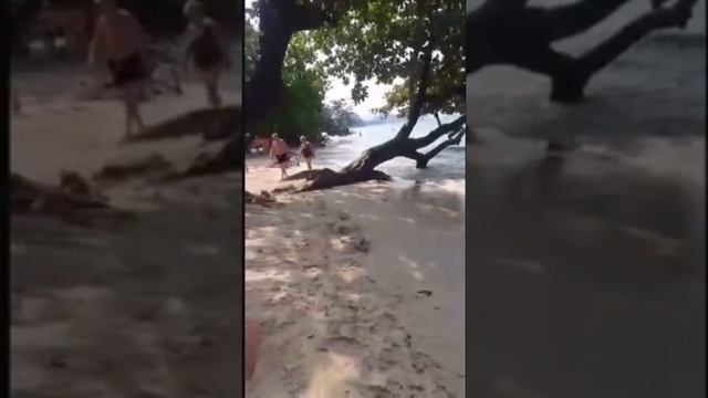 Пляж White Sand Beach. смотреть онлайн