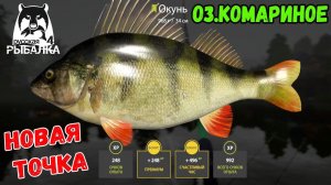 ОТЛИЧНЫЙ КЛЕВ ОКУНЯ НА КОМАРИНОМ В РУССКОЙ РЫБАЛКЕ 4 РР4