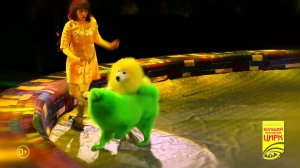 КОНСТРУКТОР до 9 марта