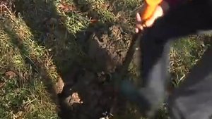 28.11.13 Такая жизнь. Отшельники.