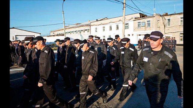 Камера предварительного заключения смотреть онлайн