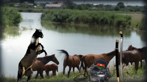 Душа Казака  Ф Царикати