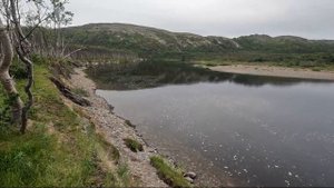 Путешествие на Кольский полуостров за СЁМГОЙ с нахлыстом Часть 1/3