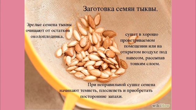 Как тыквенные семечки влияют на стул