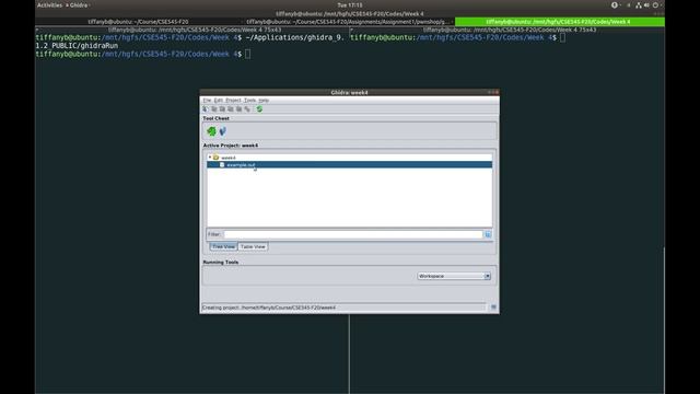CSE545 Week 4: Reverse Engineering Tools