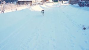 КУПИЛ 2 ДОМА В ДЕРЕВНЕ _ ОСТАЛСЯ ЖИТЬ ОДИН _ ПЛАНЫ НА БУДУЩЕЕ