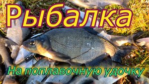 Рыбалка на поплавок
