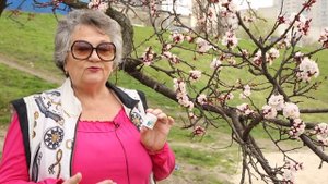 Лучшая Мазь от Угрей и Прыщей на Лице