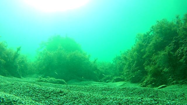 Октябрь в Черном море. смотреть онлайн