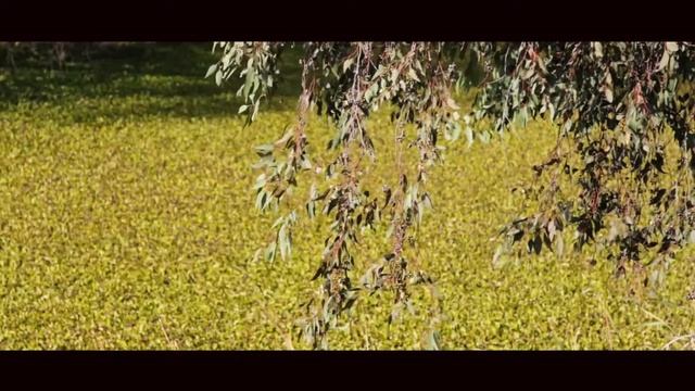 Quick Canon 60D Video Test смотреть онлайн