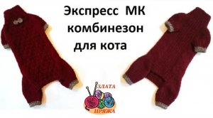 Комбинезон для кота