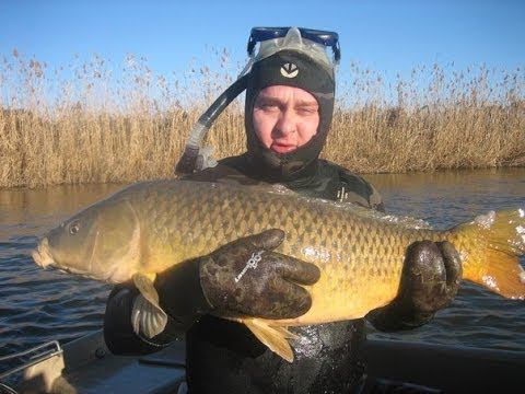 Мое Первое Видео про Подводную Охоту