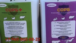 Чужая такла! Как защитить голубей от токсинов и поднять иммунитет