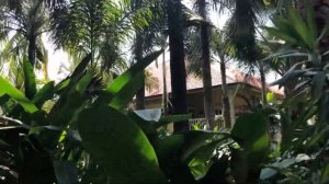 ВЬЕТНАМ ФУКУОК ЛУЧШИЕ ОТЕЛИ НА ОСТРОВЕ | LA VERANDA LONG BEACH
