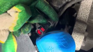 Замена топливного фильтра. Freelander2. 2.2.
