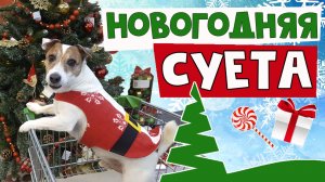 ПРЕДНОВОГОДНЯЯ суета маленькой собачки??? Добрый зимний VLOG