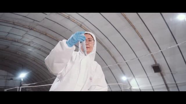 ViperFish - свежая, вяленая, копченая и консервированная стерлядь от производителя. смотреть онлайн