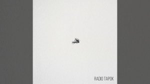 RADIO TAPOK - Песня из негативных комментариев - Official Audio 2020 (Настроение Лето)