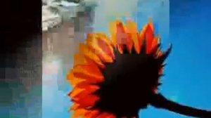 Клип Солнце ярко светит...