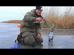 ПОСТАВИЛ ЖЕРЛИЦЫ И ПОНЕСЛАСЬ! Подводное видео АТАКИ ЩУКИ НА ЖИВЦА.  Зимняя рыбалка на щуку.