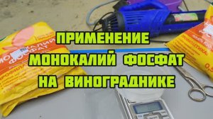 Применение монокалий фосфат на винограднике для ускорения созревания лозы и профилактики мильдью