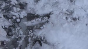 Капканы на бобра с корягой, капканы на куницу.