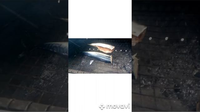 Копчение скумбрии в домашних условиях