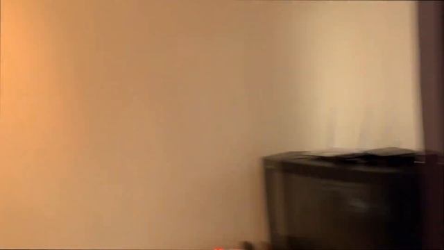 VLOG 6. Поездка в Питер. Гатчина. Бои по Муай Тай. Как я снял отель на букинге. смотреть онлайн