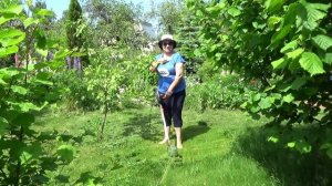 Я в восторге, но... Триммер электрический ComfortCut от GARDENA