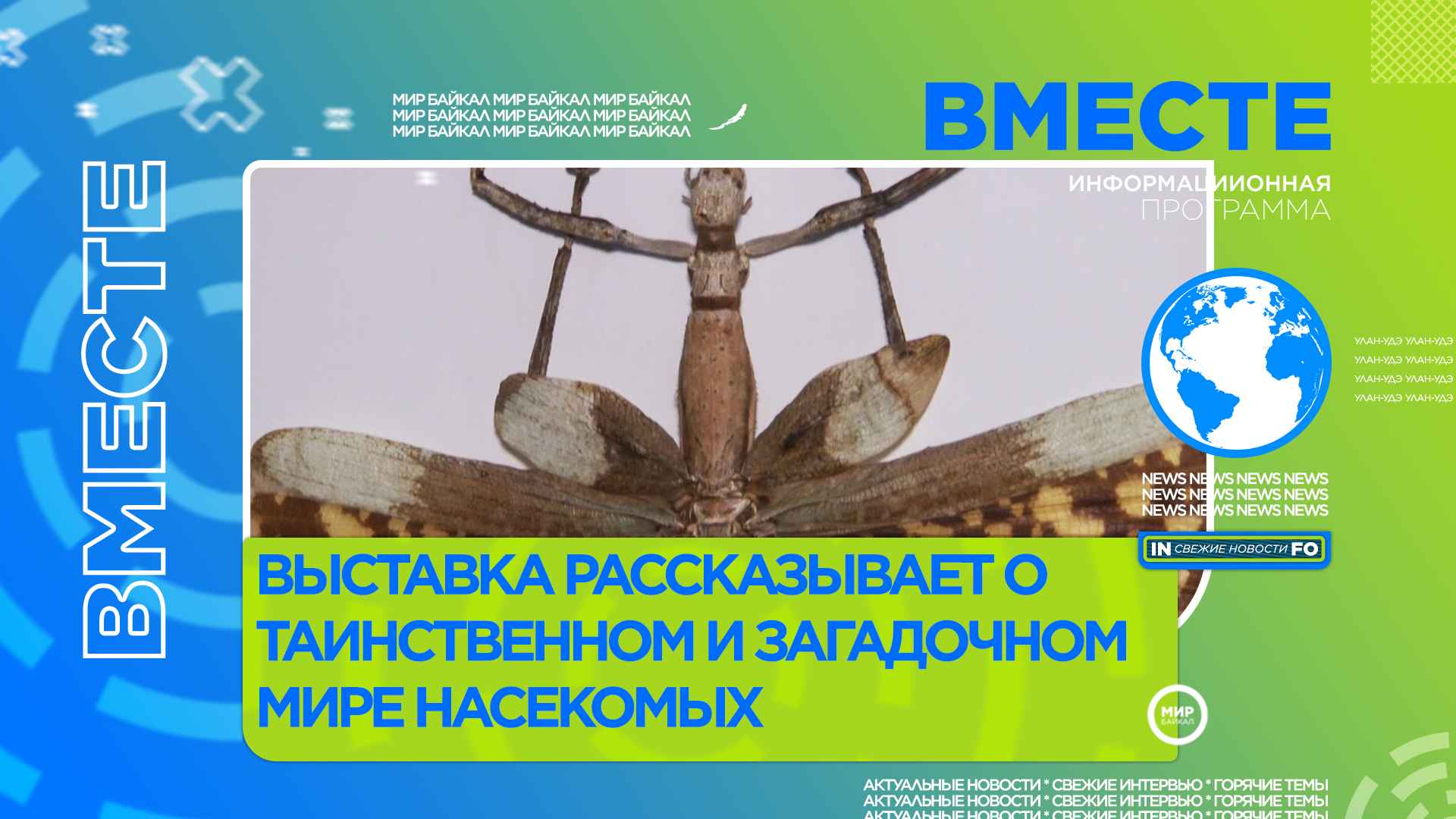 Таинственный и загадочный мир насекомых – на выставке «Шестиногие соседи»