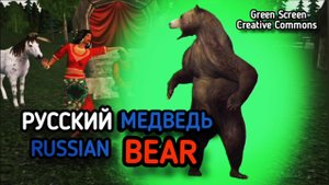 МЕДВЕДЬ ФУТАЖ НА ЗЕЛЁНОМ ФОНЕ. Видео green screen, chromakey.