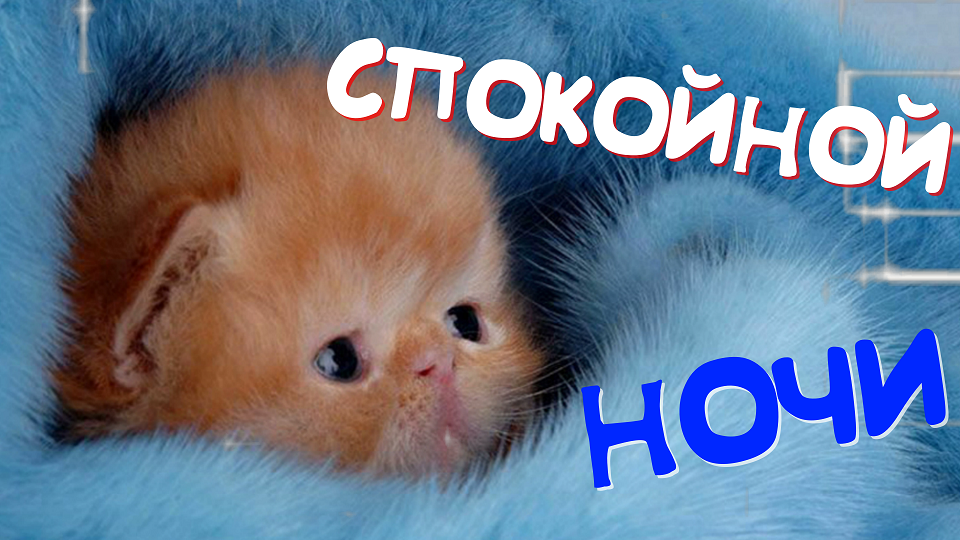 Желаю тебе самой мягкой, теплой и спокойной ночи